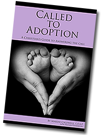New Christian adoption book